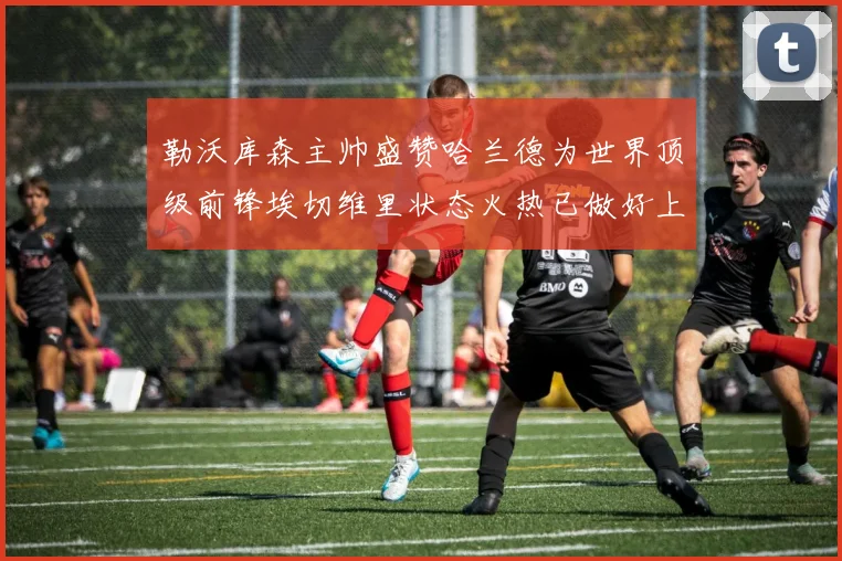 勒沃库森主帅盛赞哈兰德为世界顶级前锋埃切维里状态火热已做好上场准备