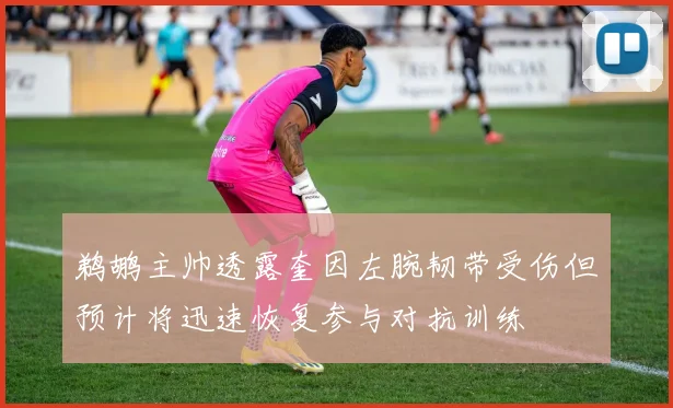 鹈鹕主帅透露奎因左腕韧带受伤但预计将迅速恢复参与对抗训练